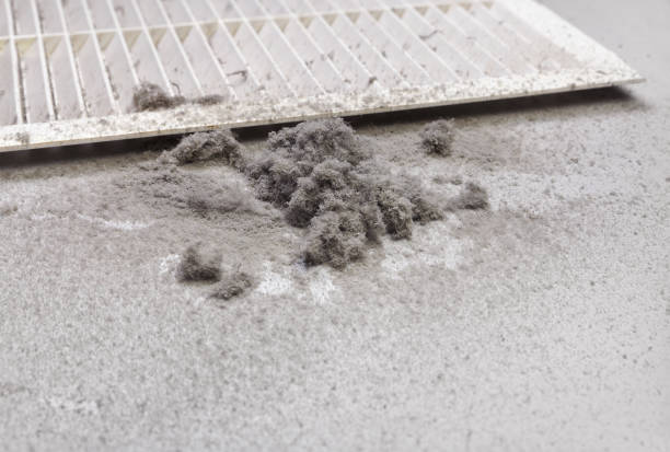 Air Duct Mold Removal in NC